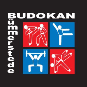 PIC 2 Budokan 300x300