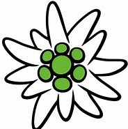 LOPsCheCf1tt DAV Edelweiss